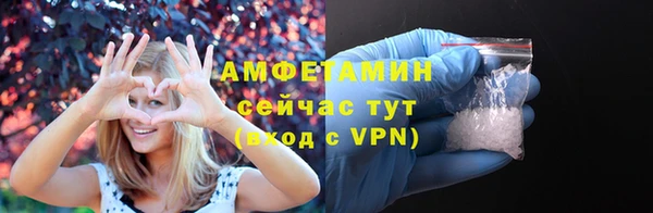 шишки Ладушкин