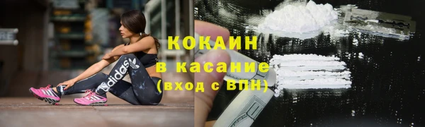 сатива Богородск