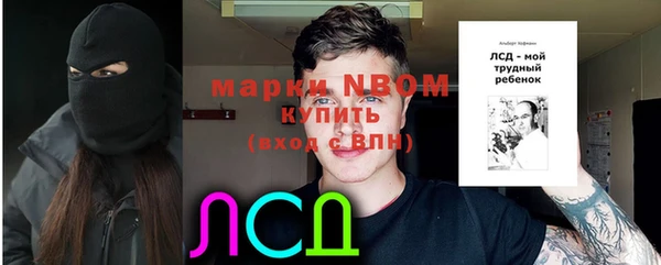 сатива Богородск