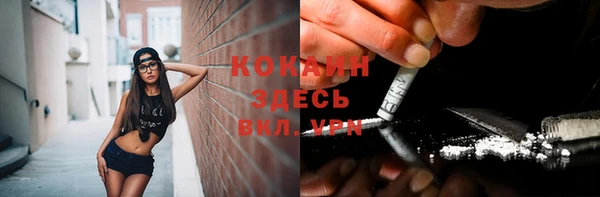 бошки Богородицк