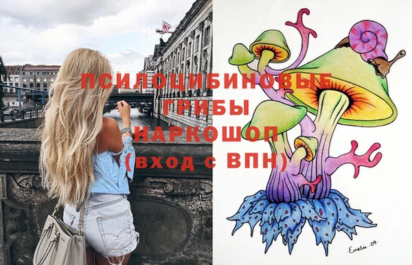сатива Богородск