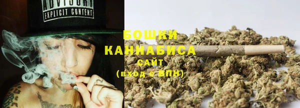 бошки Богородицк