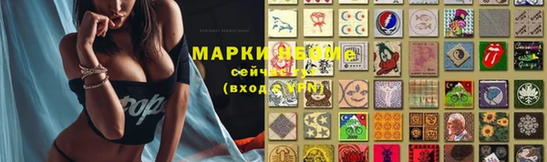бошки Богородицк